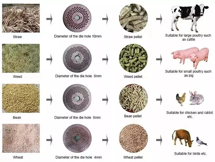 Affordable Animal Feed Pellet Machine