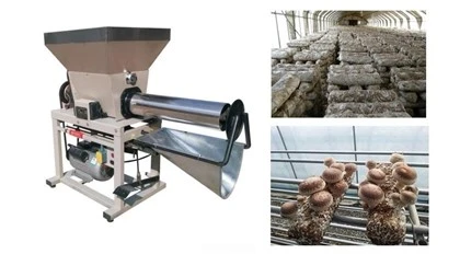 Champignon Paketleme Makinası