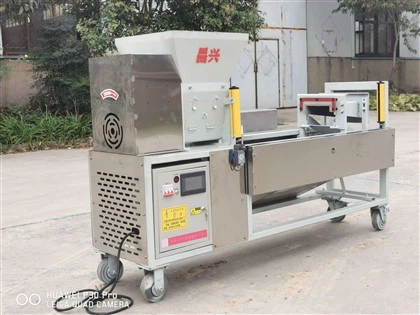 Mantar İçin Yüksek Kapasiteli Paketleme Makinesi