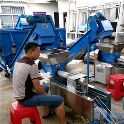 Yenilebilir Mantar Torbalama Üretim Hattı